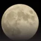 Fenomena Supermoon Cold Moon Hiasi Langit Desember 2025 pada 4-5 Desember. Bulan terlihat lebih besar dan terang (Purnama Perige) saat jarak Bulan terdekat dari Bumi.